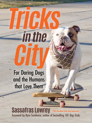 cover image of Tricks in the City